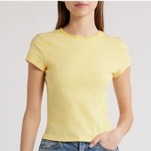 NWT Lioness in bloom stripe baby tee